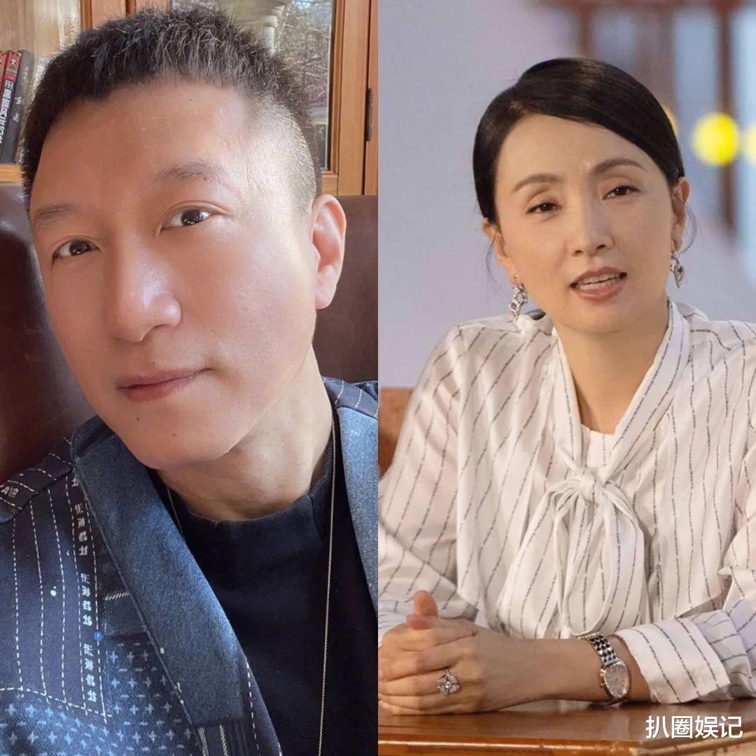 陶虹|本来陶虹因为抽身快,已经没大碍,但张庭林瑞阳从中作祟想拉她下水