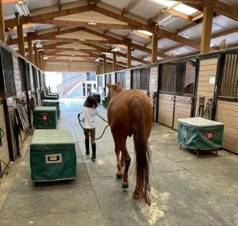 吴彦祖|吴彦祖一家三口参加花车巡游，8岁女儿漂亮似洋娃娃，和妈妈很像
