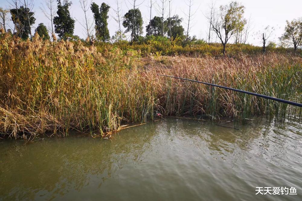 徒步|冬季野钓,找到鱼窝的2大策略,天气越冷鲫鱼越是扎堆