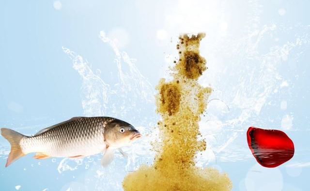 饵料|盛夏季节钓鱼，鱼不开口怎么办？使用这四个小技巧能轻松搞定