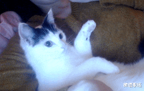 |“身体在上班,灵魂在放假”:职场人的假期综合征如何缓解?