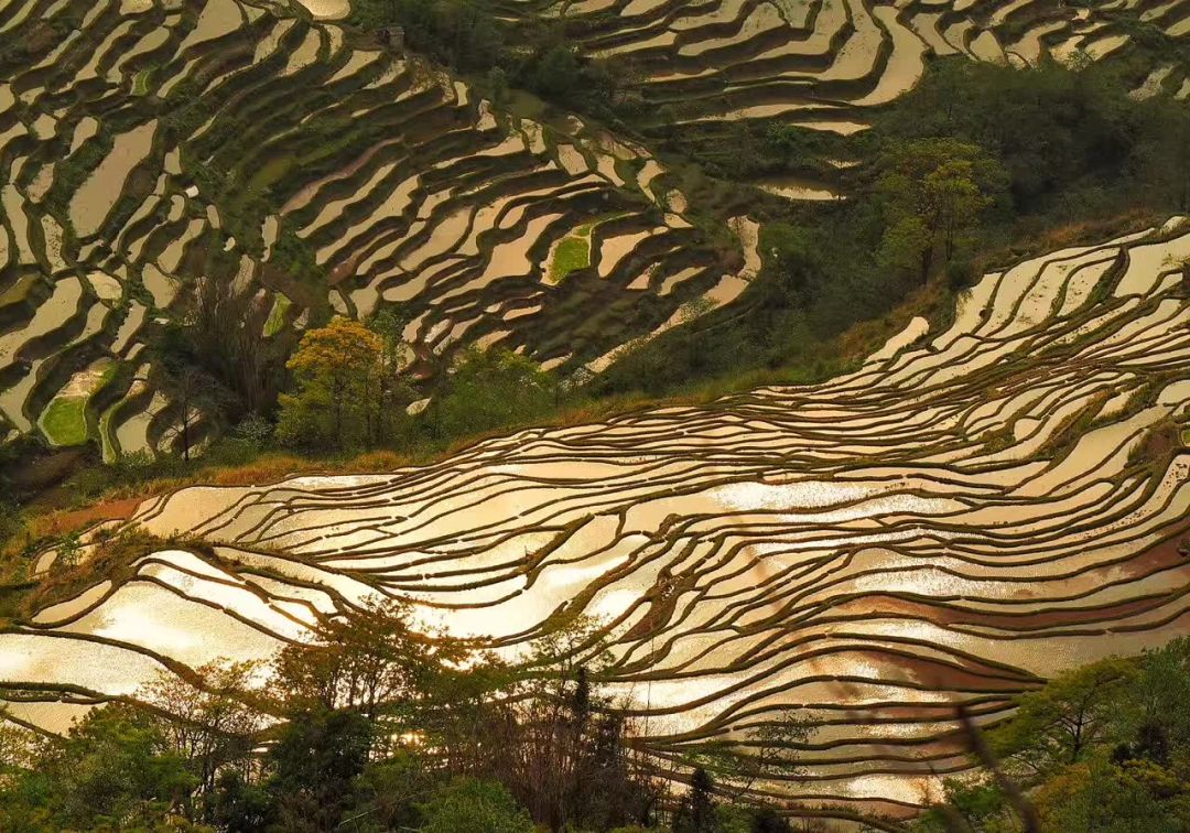 云南|一个冬天，四种云南，一个超越想象力的旅行地