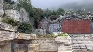00后女生当守墓人,上班没有钩心斗角,提前养老,网友:我也想干
