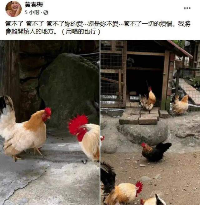 章子怡|大S妈已见韩国女婿！具俊晔贴心送花当见面礼，岳母却偏爱汪小菲