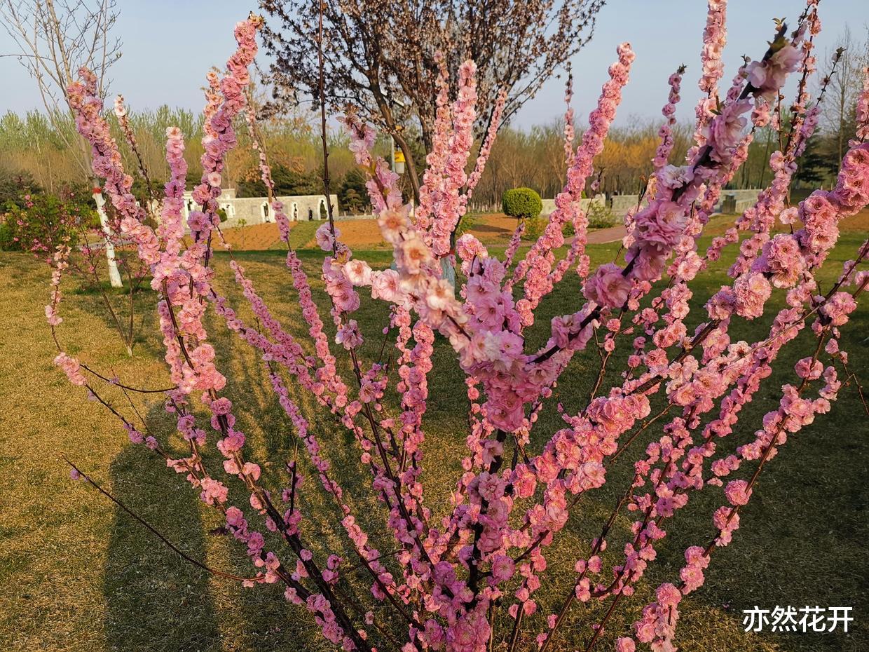 高校|写作能力是职场人士的核心竞争力