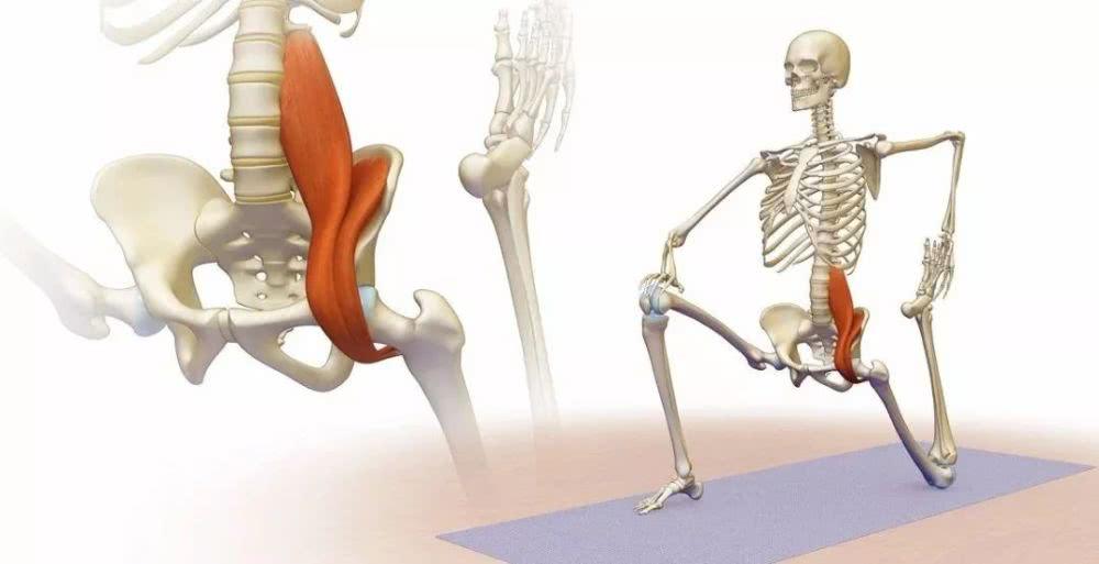 白发|「体态改善」大部分人都有的体态问题，看完自己评估一下