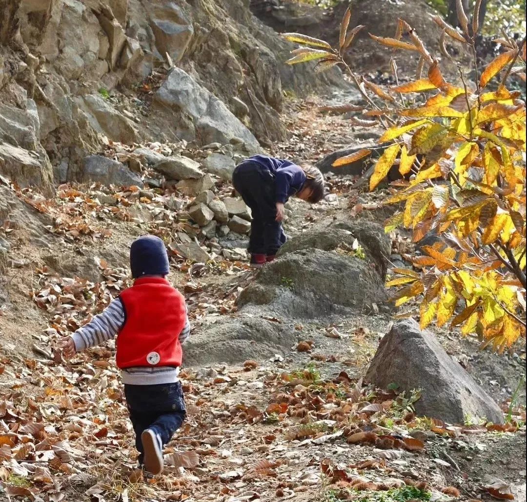 福州|北漂老外改造出租房,打造一家四口的“世外桃源”:这才是生活