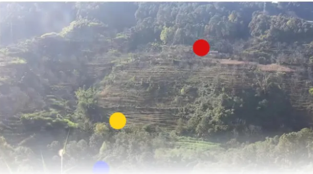 云南普洱,村民自某从广东打工回到老家。回家第3天,自某带3岁的儿子成成去村民家玩