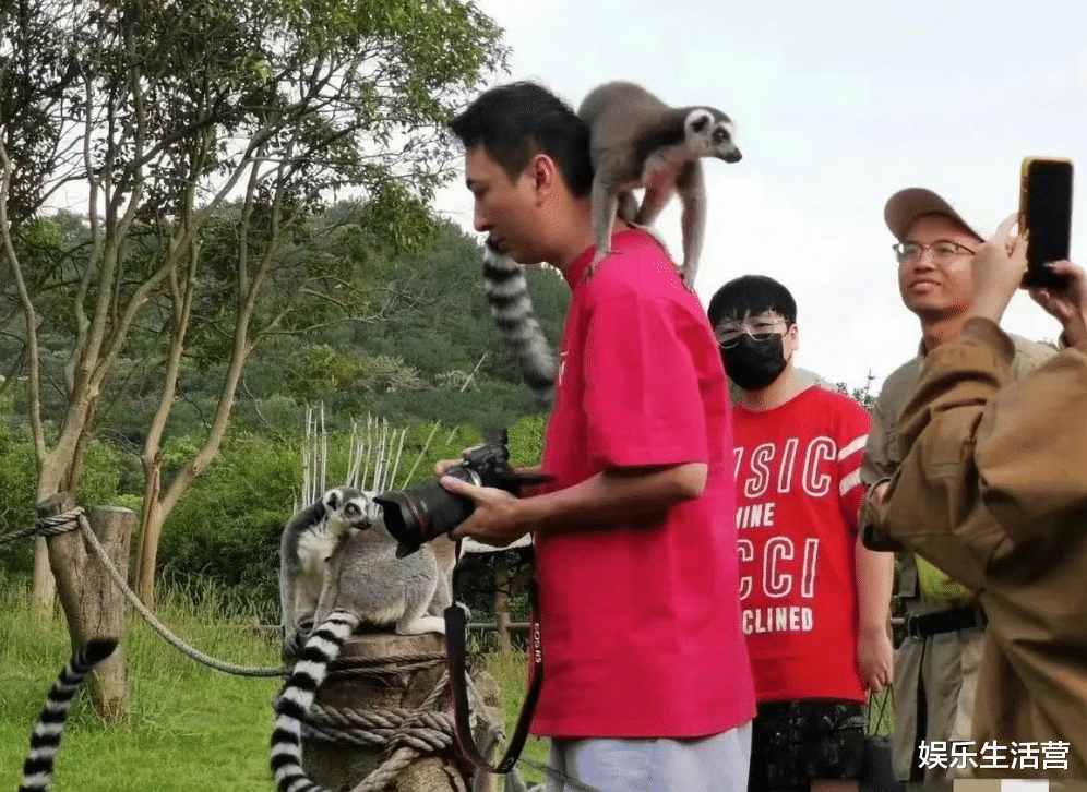王思聪|王思聪带4位美女看猴,单膝跪地为慎婕闺蜜拍照,网友:地位不保