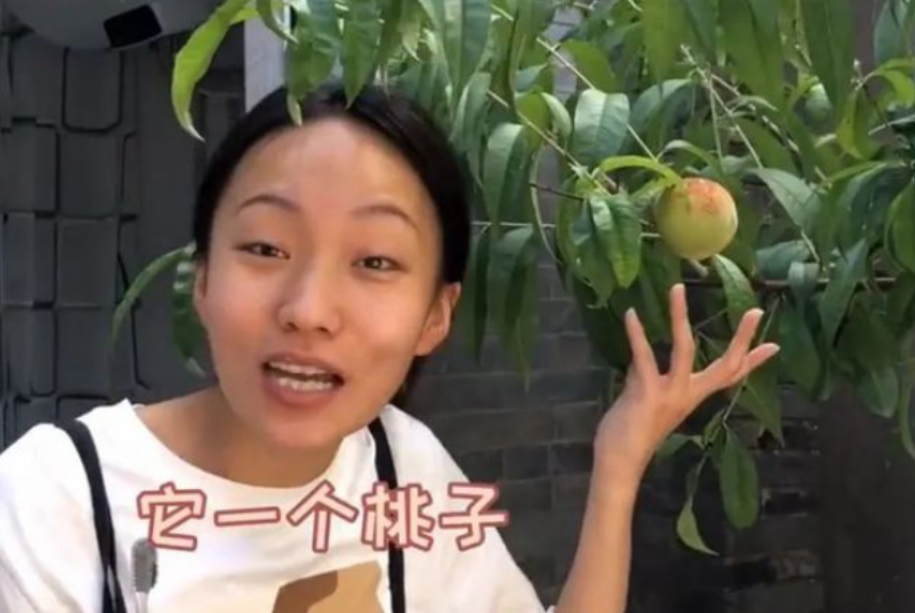 明星|半年圈粉4000多万，被网友骂又丑又土的她，真实身份究竟是什么？