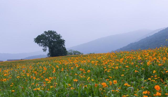江西|彩虹中的鲁冰花海,太湖畔的火烧云,徒步中那些“治愈系”的画面