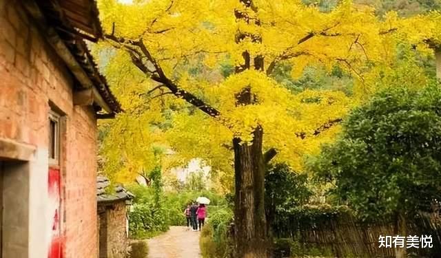 旅行|顶级玩家的最爱！国内10个人少景美的旅行地，光听名字就想出发！