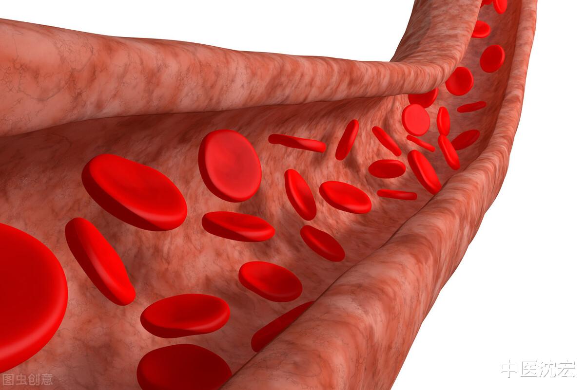 蛋白质|血不通，因为有痰，张仲景名方，祛痰通血管，养好心脏，人不老