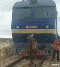 为什么是你|“新买的板鞋,看起来质量不错...”哈哈哈兄弟出门不怕被人打?