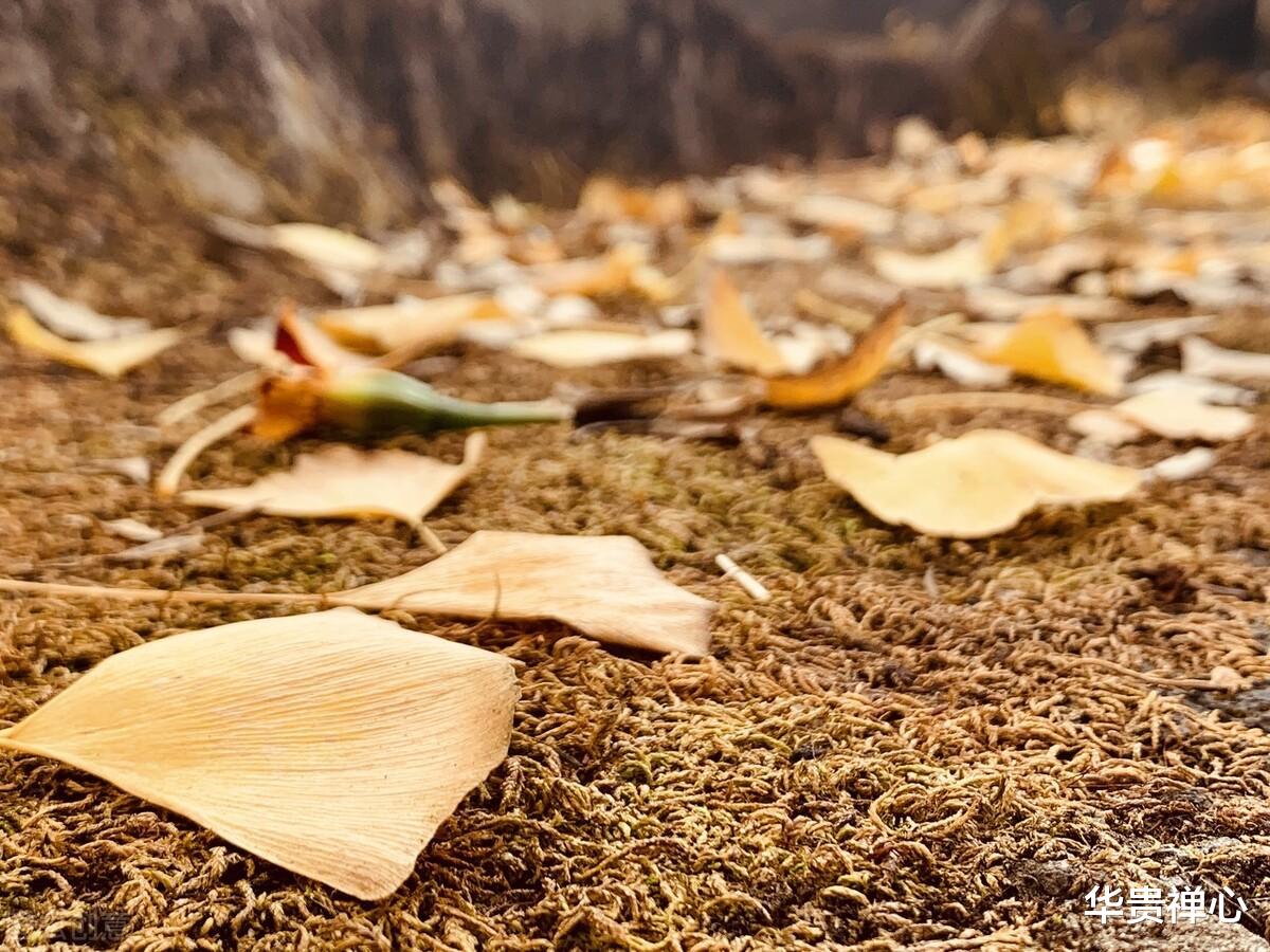 53岁保姆自述:从业13年发现一个残酷的现实,谁的晚年都不好过