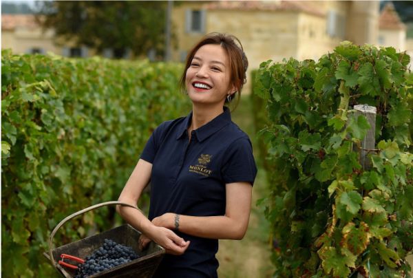 梁朝伟|赵薇4000万买外国酒庄，卖回国980元一瓶，结果被煤老板狠狠打脸