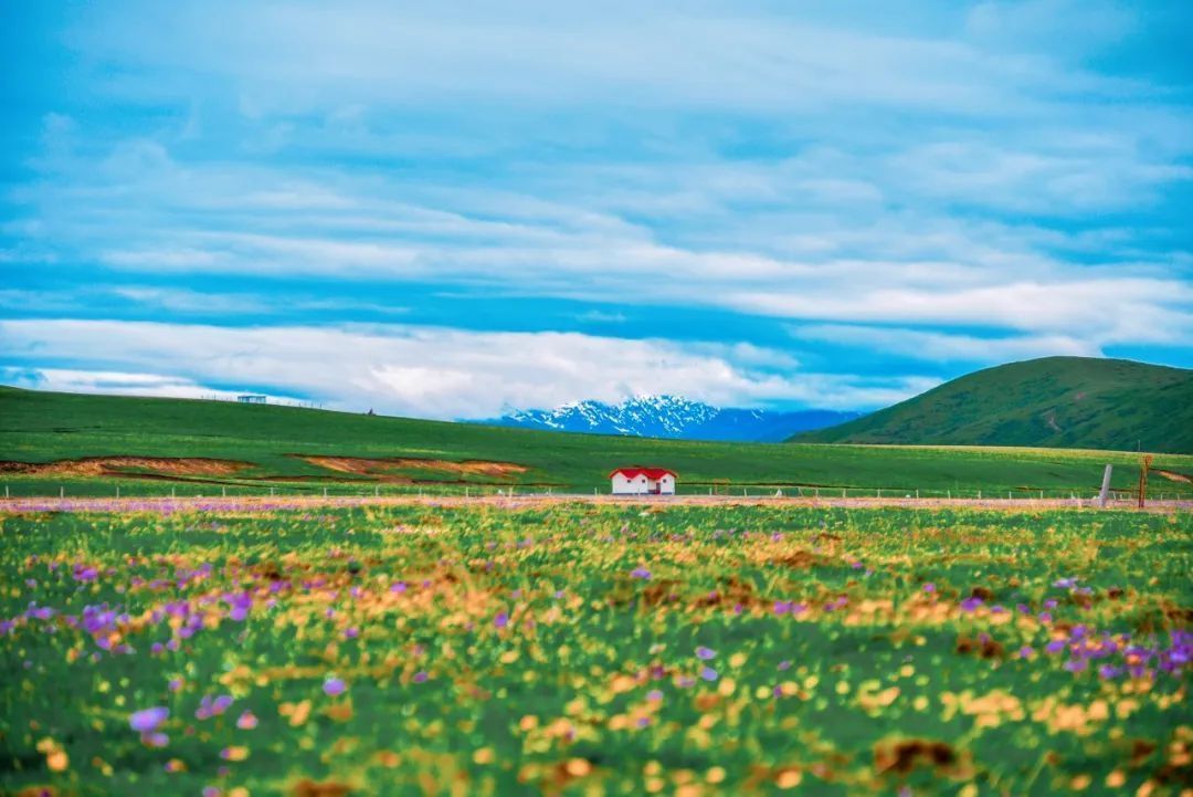 海西|色达永久封闭的第3年,重新开放!却被骂上热门:来了后悔一辈子