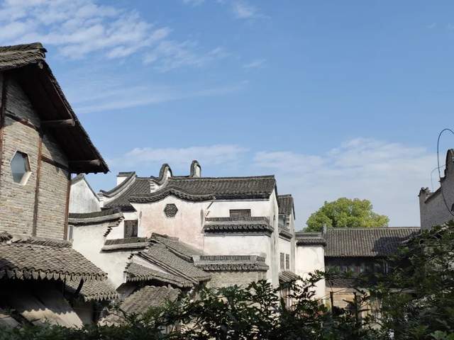 Twitter|一年一度“世界互联网大会”，有意思！