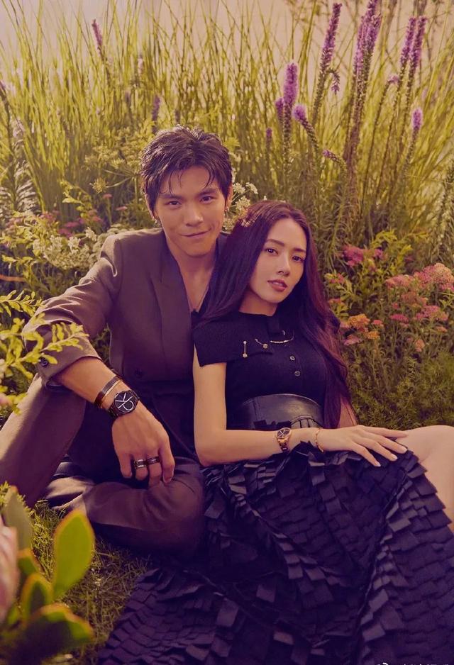 郭碧婷|郭碧婷向佐离婚？龚俊要跳槽？韩东君被gay撩？