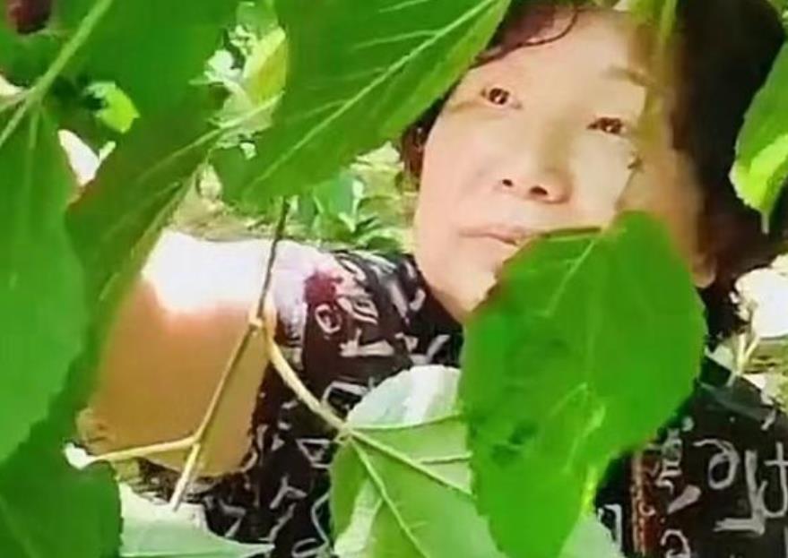堂嫂称杜新枝生病住院,老杜却化身美食博主,云昊已有关键证据