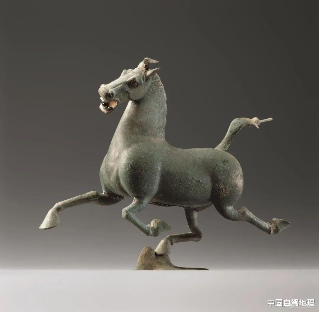 云南|一年只美20天！大西北最壮丽的绽放，留待明年再“战”！丨?额济纳路书
