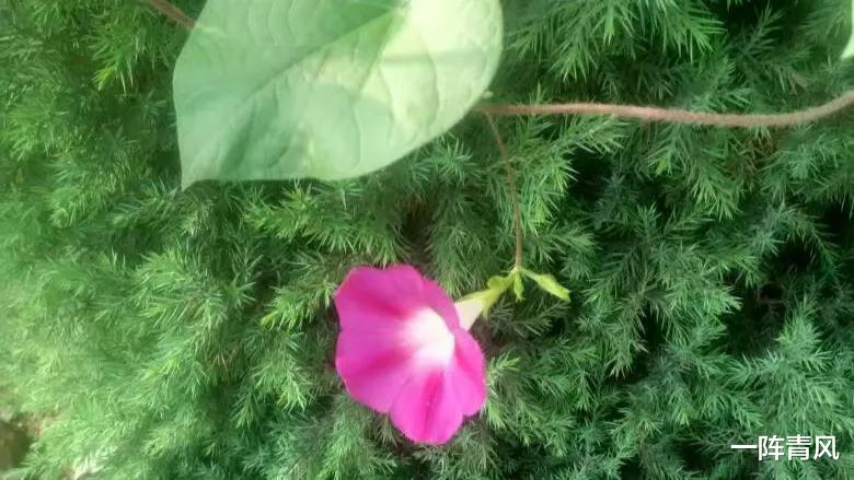 招聘|不要幻想着招聘了员工,就能让业绩好起来