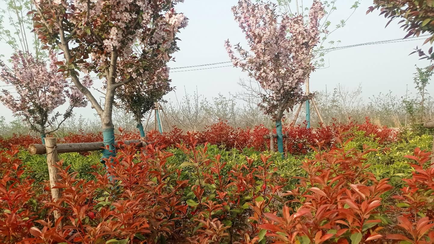 |混职场，混人生，不想当炮灰，不想被利用，最好知道这些规则