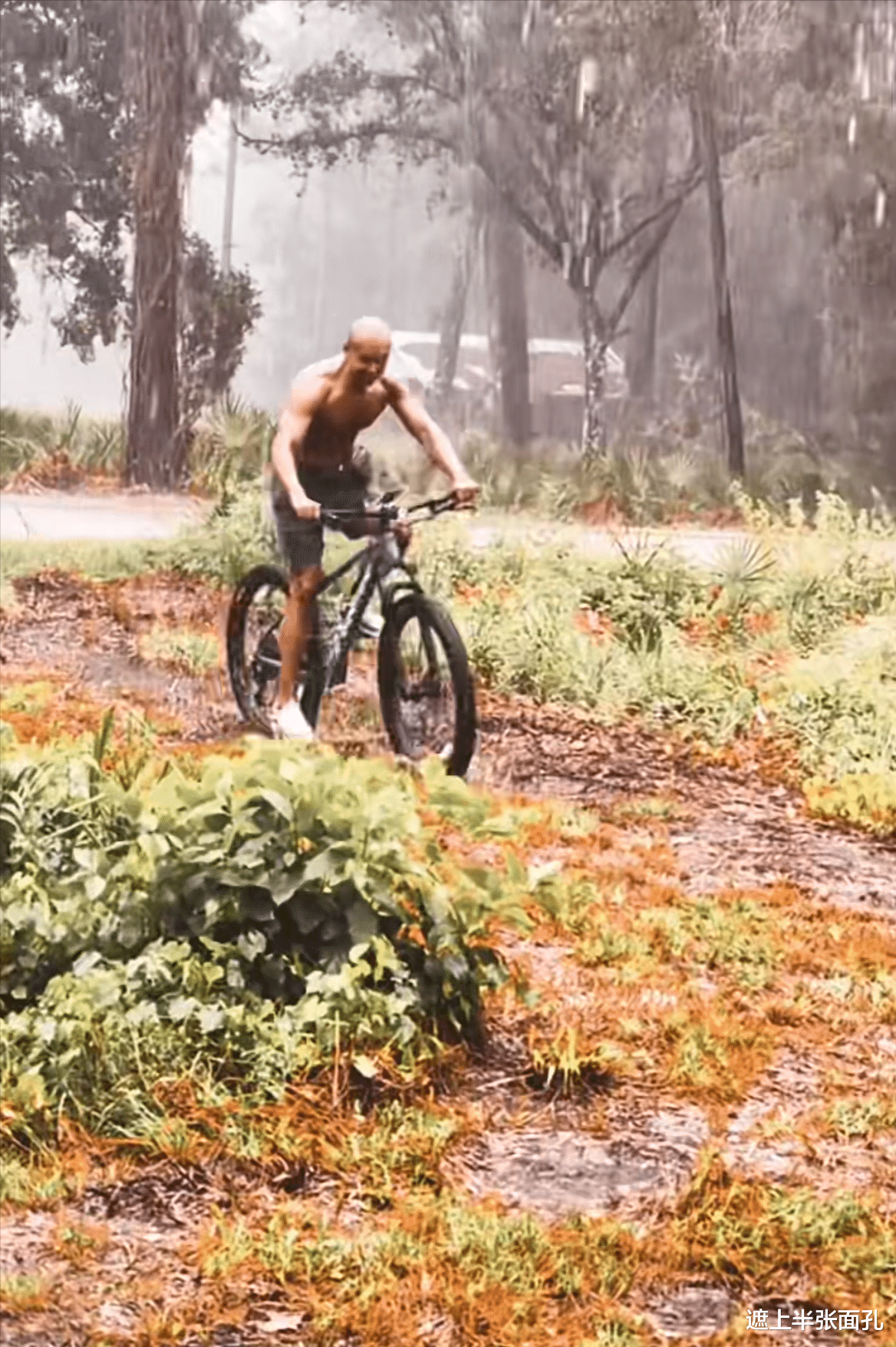 电影|乐嘉光着膀子淋雨仰天大笑，教导女儿：只有做坏事的人才会被雷劈