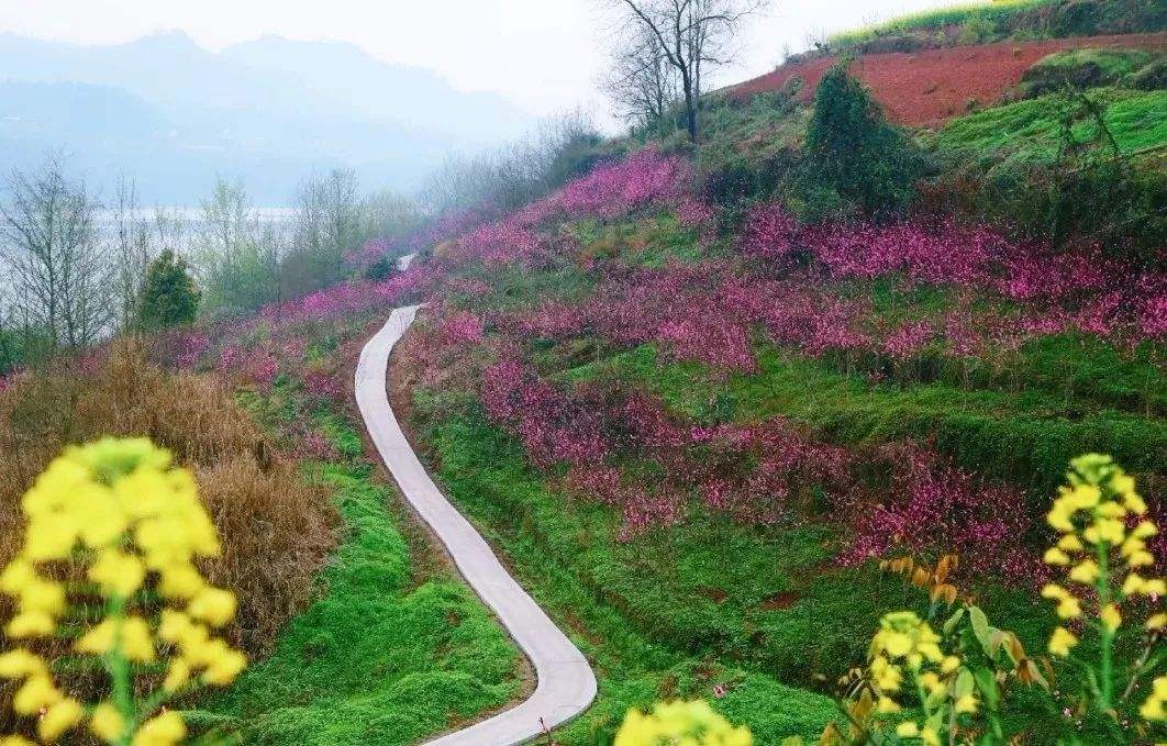 重庆|三生三世，十里桃花！就在重庆！一天打来回！