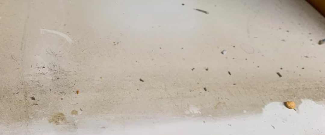 为什么家里总有很多“毛絮”？学会这么做，毛絮自动消失，贼实用