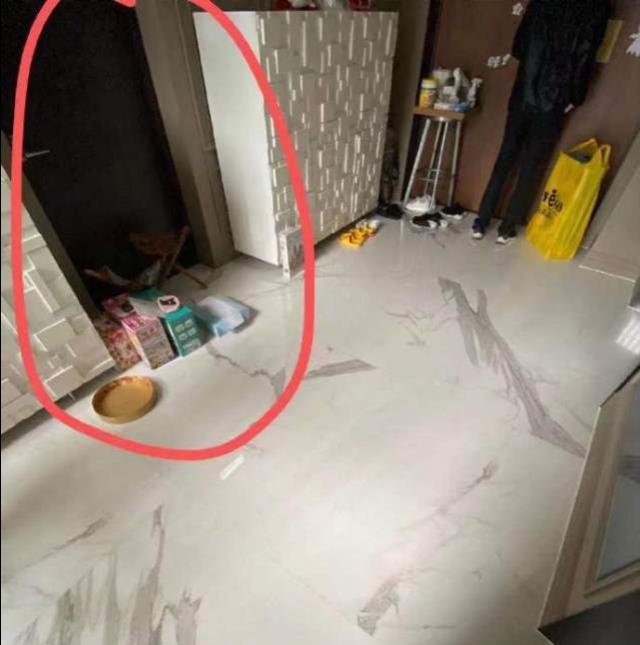 王力宏|台媒曝王力宏将暂退娱乐圈3到5年，怕李靓蕾再爆料将不再单独见面