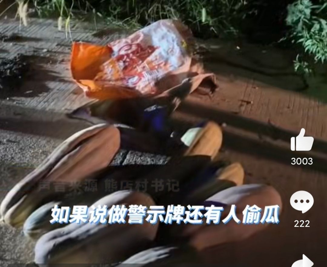 老人组团偷瓜事件持续发酵,为了村民,女子再次妥协了