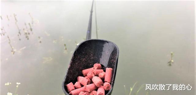 猪肝|夏天野钓黄辣丁,明白5大要点,掌握3款窝料,连竿上鱼不断