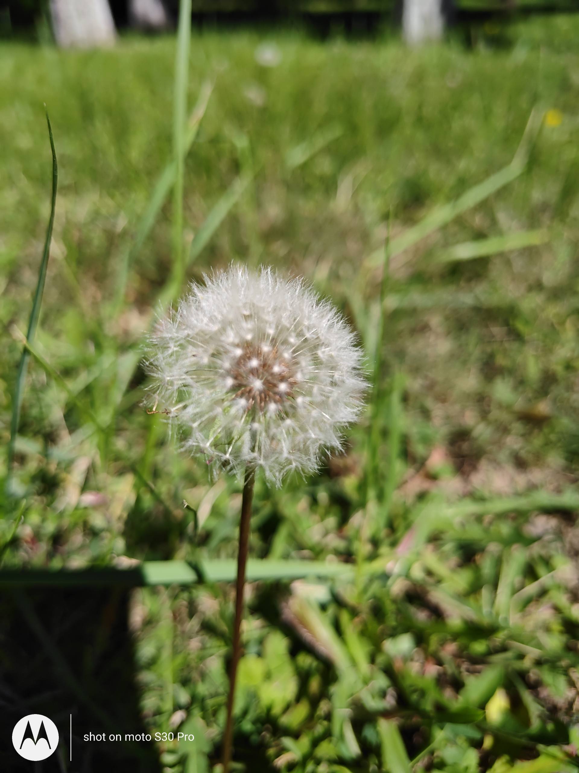 摩托罗拉|我以为旗舰机再也回不到1999了！这次摩托罗拉S30 Pro要为发烧而生