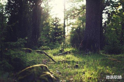 大学|30岁，花光300万依旧一事无成，常青藤大学学霸是如何废掉的？