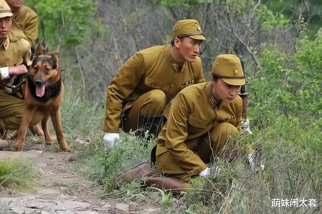 抗日奇侠|继《抗日奇侠》之后,《抗战七豪侠》再次来袭,网友:开播就封停