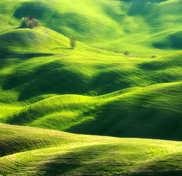 |如诗如画：油画草原，飞翔牧民