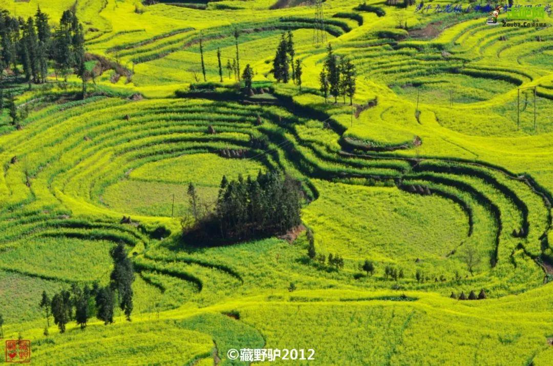 自驾|抓住暑假的尾巴！这14个最佳避暑目的地，景美人少不扎堆