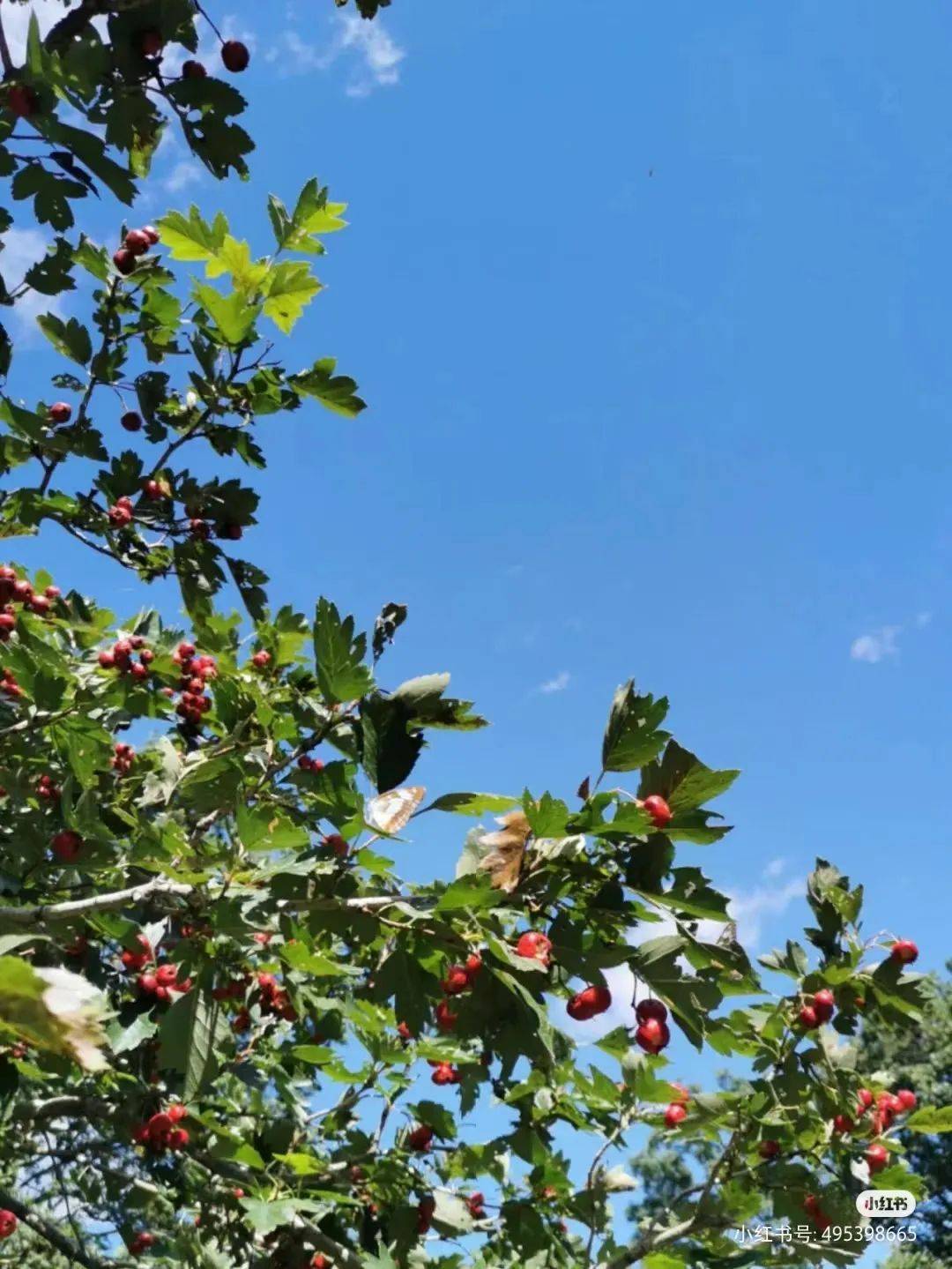 长春|长春周边这些特色民宿,你去过几个?