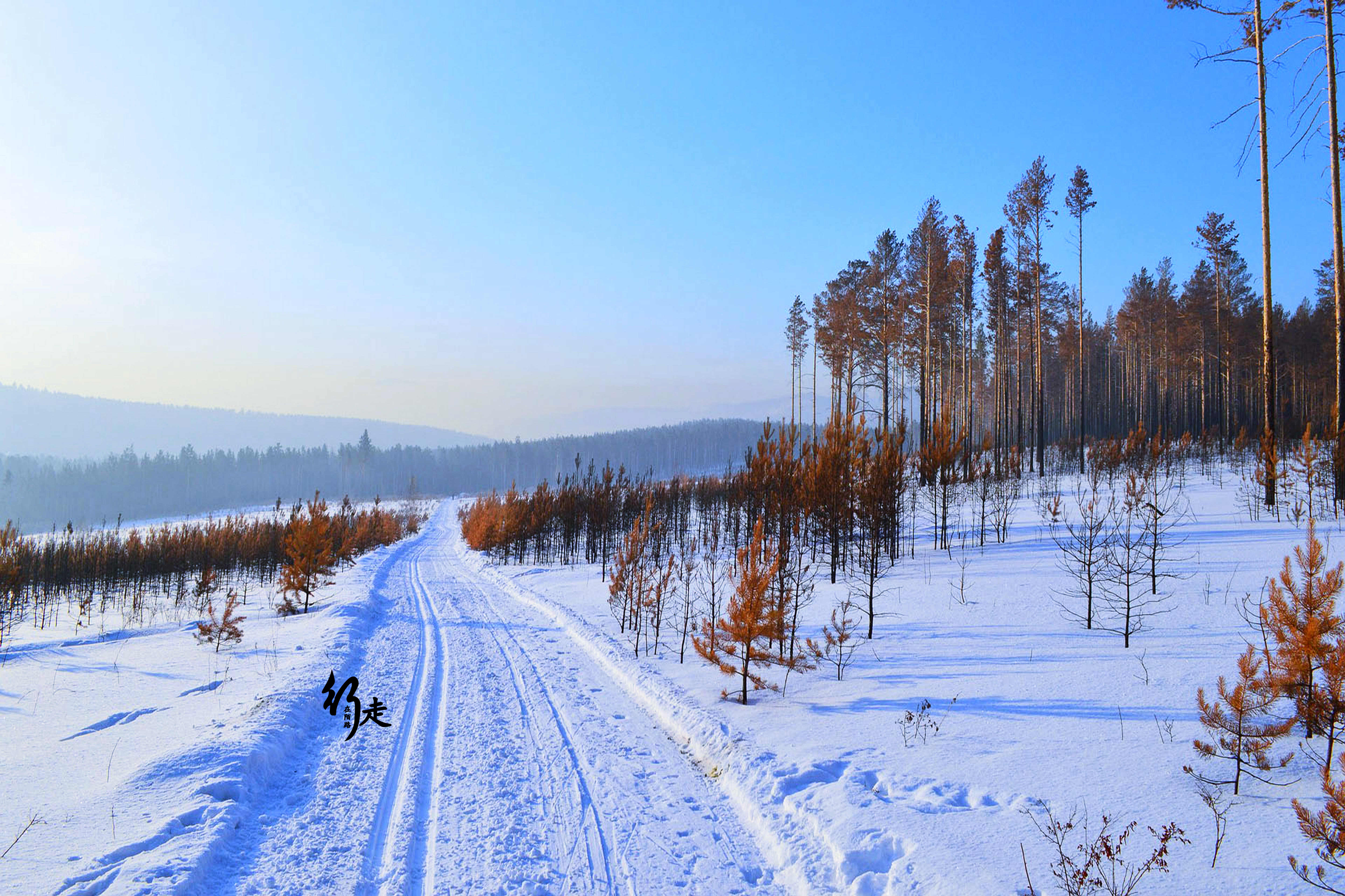 西伯利亚|全球最大盆地：大到能装下整个澳洲，资源总值百万亿美元