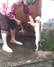 孙俪|孙俪近照引争议!眼凸脖颈鼓包,无效养生被指像青蛙