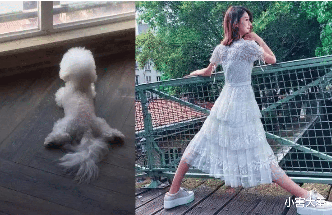 赵丽颖|“农村土妹”赵丽颖：因喝水姿势不对被黑多年，节目中溺水无人救