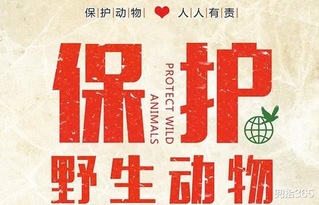 男子钓获怪鸟吓得丢掉路亚,它却淡定地梳羽毛,网友:可狱可囚鸟