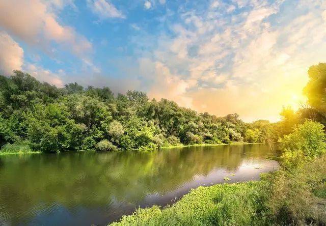 |立夏过后，钓鱼的“窗口期”有变，审时度势才能钓得盆满钵满