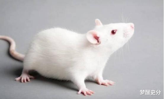 疯狂科学家为获永生,和女模特一起注射350万年前细菌,结果如何
