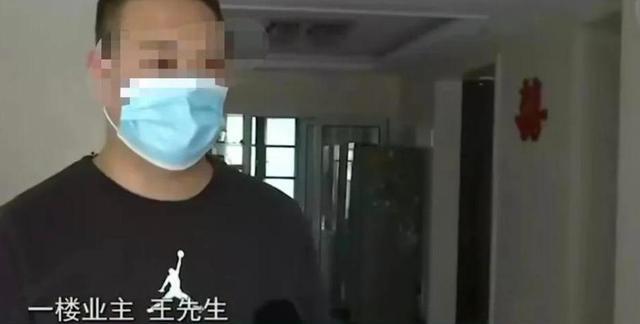 回顾:男子在自家院子种菜,准备可以吃的时候物业通知三天内铲掉