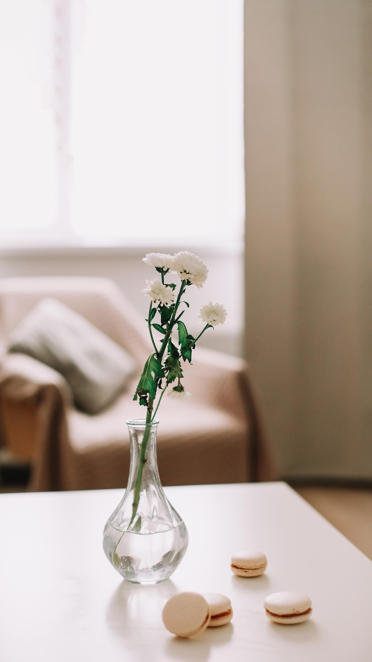 郁金香抗抑郁 青少年抑郁症,家长需要注意的地方。