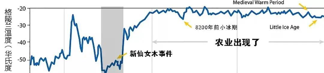 从西亚到中国, 从山羊草到栽培小麦, 史前一万年发生了怎样的演化