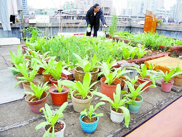 运动|人到中年，四五十岁的人，试试做好七点，符合动静结合