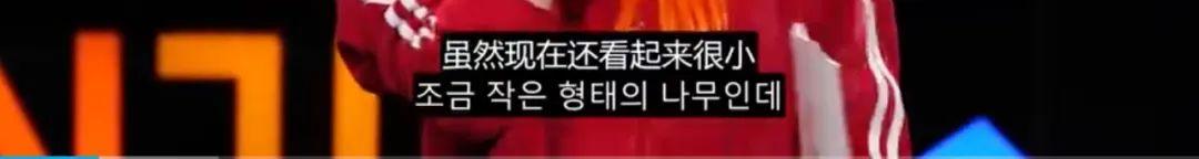 猴面包树|她刚满20，我的新偶像！